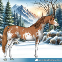 Horse Color:Chestnut Sabino 