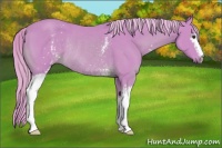 Horse Color:Watercolor White Spotted Palomino Rabicano 
