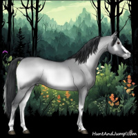 Horse Color:Grullo Chinchilla Onyx 
