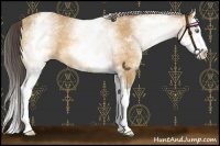 Horse Color:White Spotted Amber Cream Champagne Splash