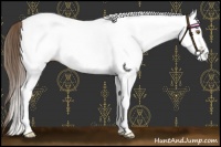 Horse Color:White Spotted Classic Cream Champagne 