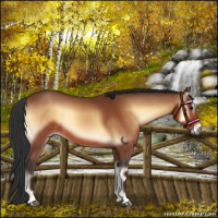 Horse Color:Bay Onyx 