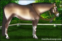 Horse Color:Liver Red Onyx 