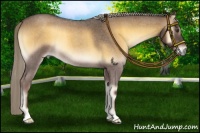 Horse Color:Chocolate Palomino Roan Onyx 