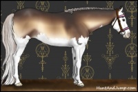 Horse Color:Silver Brown Onyx Splash 
