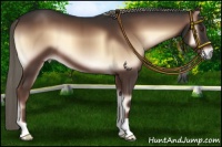 Horse Color:Liver Red Onyx
