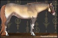 Horse Color:Chocolate Palomino Roan Onyx 