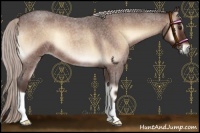 Horse Color:Silver Brown Roan Onyx 
