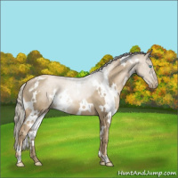 Horse Color:White Spotted Chocolate Palomino Pearl 