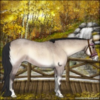 Horse Color:Bay Roan Onyx 