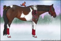 Horse Color:Brown Tobiano 