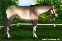 Horse Color:Liver Red Onyx Rabicano