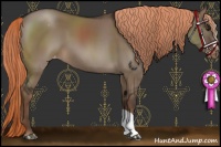 Horse Color:Liver Red Dun Appaloosa 