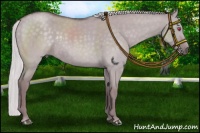 Horse Color:Chocolate Silver Smoky Grullo Chinchilla Roan Rabicano 