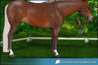 Horse Color:Silver Brown 