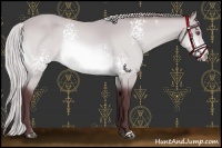 Horse Color:White Spotted Chocolate Silver Bay Chinchilla 
