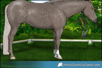 Horse Color:Silver Black 