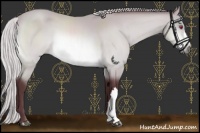 Horse Color:Chocolate Silver Brown Chinchilla 