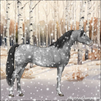 Horse Color:Blue Ice Roan  and Blue Ice Roan Frame 