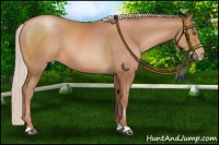 Horse Color:Chocolate Silver Brown Pearl