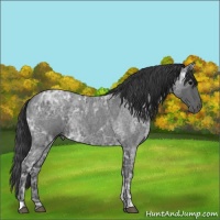 Horse Color:Blue Ice Roan  and Blue Ice Roan 