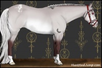 Horse Color:Chocolate Silver Bay Chinchilla Varnish 