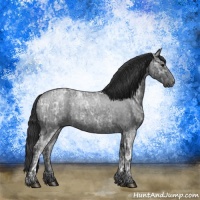 Horse Color:Blue Ice Roan  and Blue Ice Roan 