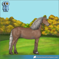 Horse Color:Silver Black
