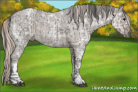 Horse Color:Platinum Grullo Ice Sabino  and Silver Blue Ice Roan 