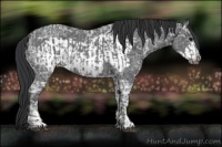 Horse Color:Blue Ice Roan  and Blue Ice Roan Frame 