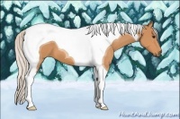 Horse Color:Silver Bay Tobiano