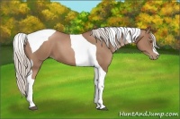 Horse Color:Silver Black Pearl Tobiano 