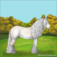 Horse Color:Cremello Splash  and Gray Cremello Splash 