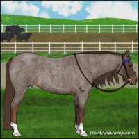 Horse Color:Liver Red Roan 