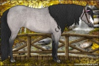 Horse Color:Platinum Brown Roan Dun