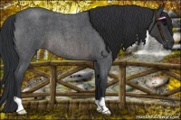 Horse Color:Platinum Brown Roan 