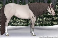 Horse Color:Platinum Sable Cream Champagne 