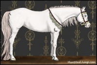 Horse Color:Platinum Buckskin Pearl Sabino