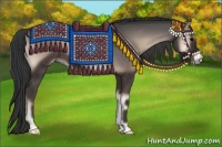 Horse Color:Blue Onyx 