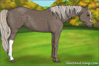 Horse Color:Silver Black 