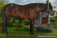 Horse Color:Bay Ice 