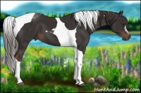 Horse Color:Liver Chestnut Tobiano 
