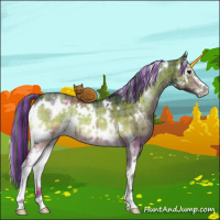 Horse Color:Painted Plaid  White Spotted Brown Onyx Sabino 