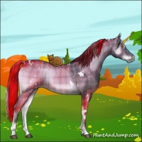 Horse Color:Plaid White Spotted Brown Onyx Sabino