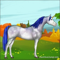 Horse Color:Painted Watercolor Brown Pearl Onyx Sabino 