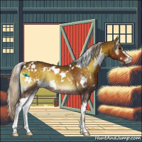 Horse Color:White Spotted Silver Brown Onyx Sabino 