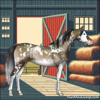 Horse Color:White Spotted Bay Onyx Splash Appaloosa 