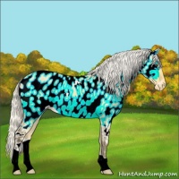 Horse Color:Silver Buckskin Dun Near Leopard
