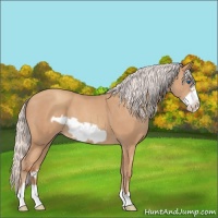 Horse Color:Silver Classic Champagne Frame 