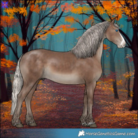 Horse Color:Silver Black Splash Frame 